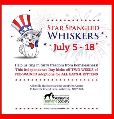 Fee-waived cat adoptions.