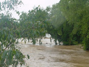 Photo of French Broad River at flood stage.