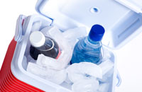 Don't get caught with an unhealthy cooler.  A cooler that's not cool can lead to spoiled food! You can't have a picnic if your food has gone bad.