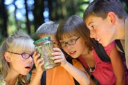 Photo fo kids looking at a bug in a jar.