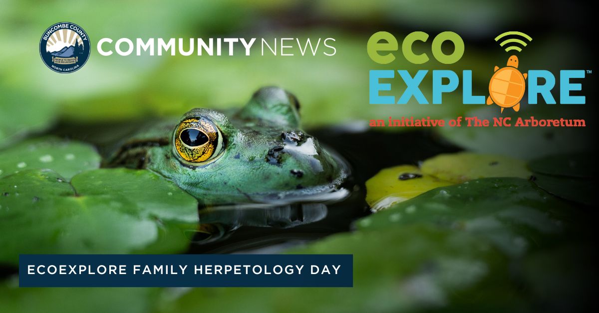 Buncombe County's Environmental Educators Invite Youth to Learn About Reptiles and Amphibians 