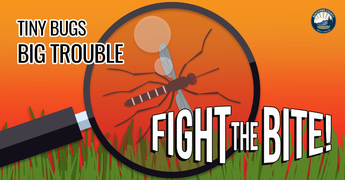 Fight the Bite: Prevent Disease from Mosquitoes and Ticks with these Simple Steps 