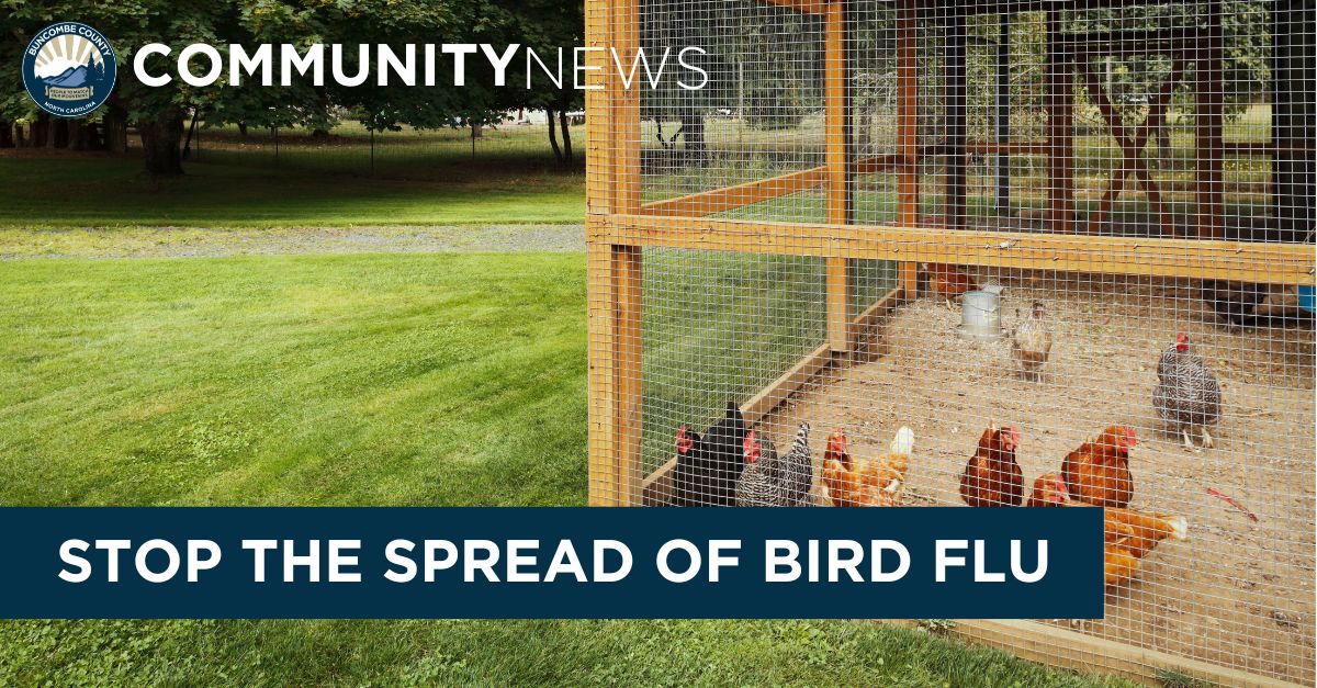 Take Proactive Steps to Stop the Spread of Bird Flu During Wild Bird Migratory Season 