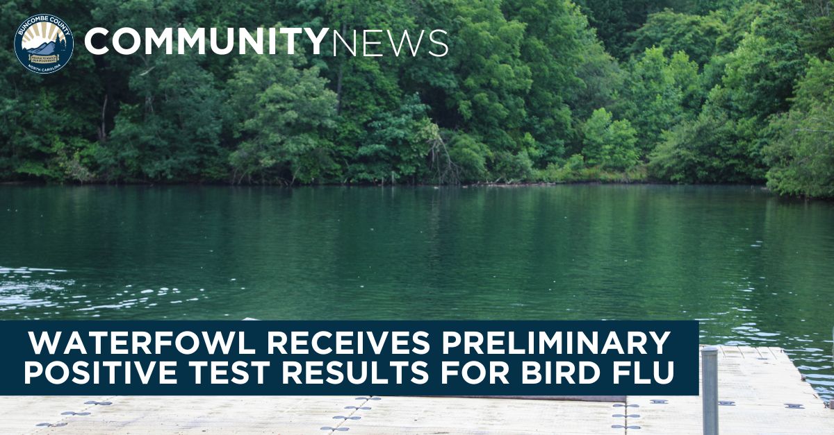 Deceased Waterfowl at Lake Julian Park Receives Preliminary Positive Test Result for Bird Flu