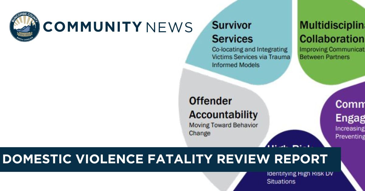 Buncombe Commissioners Hear Domestic Violence Fatality Review Team Report and Recommendations 
